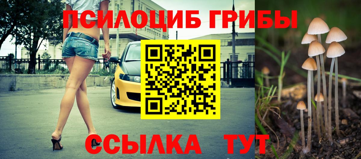Галлюциногенные грибы ЛСД  Вход с VPN  Георгиевск 