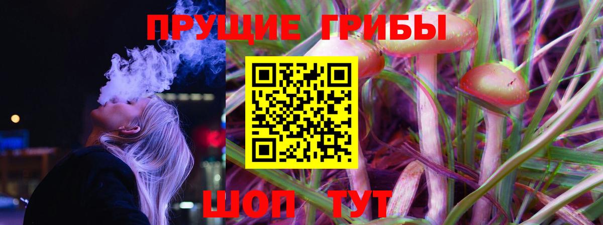 Псилоцибиновые грибы Psilocybine cubensis Георгиевск